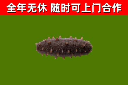 泸县区烟酒回收干海参.jpg